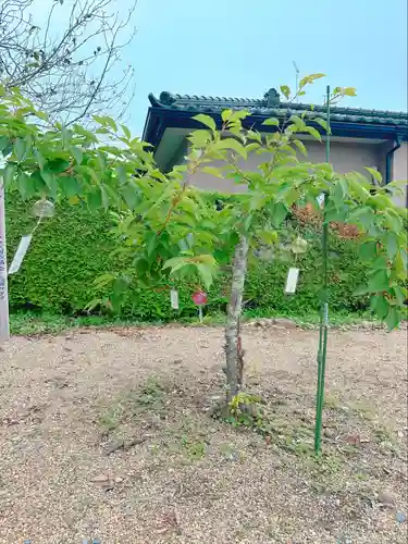 鹿島台神社(宮城県)