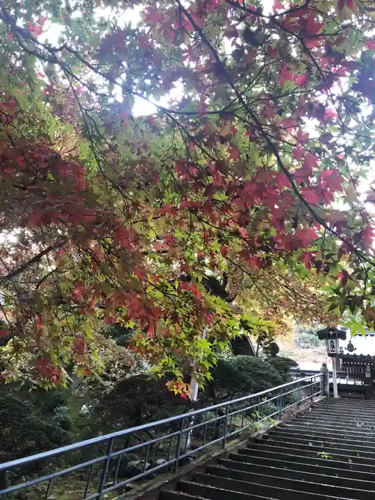 最乗寺(道了尊)のその他建物