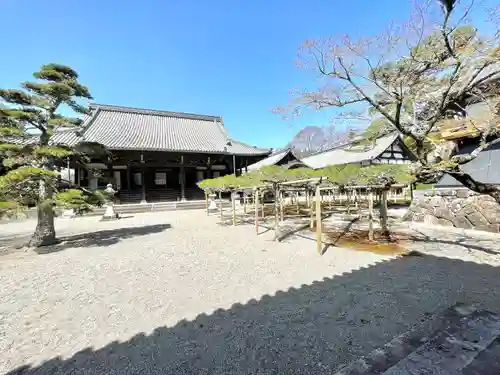 本誓寺(東本誓寺)(滋賀県)