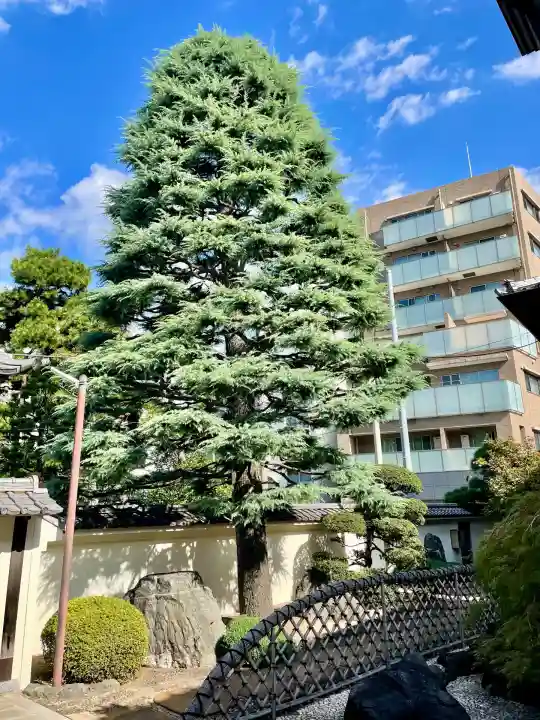 霊泉院(東京都)