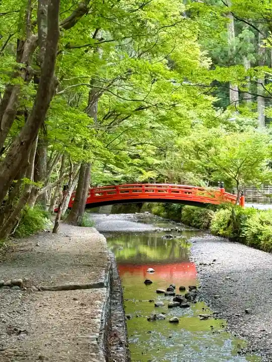 小國神社(静岡県)