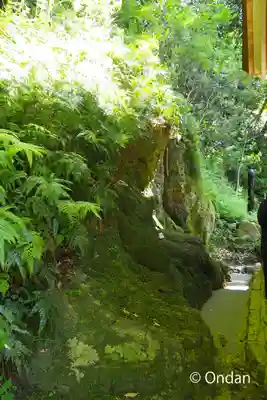 出雲大社(島根県)