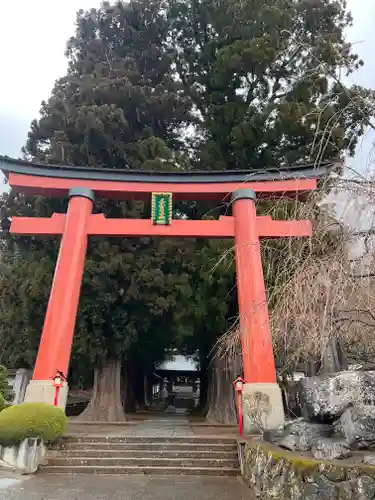 河口浅間神社の鳥居