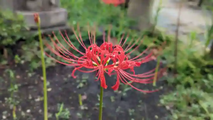 常泉寺(神奈川県)