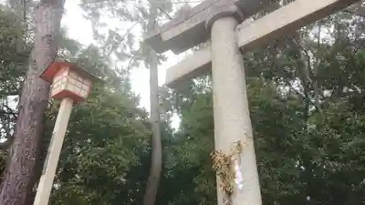 尾張大國霊神社(国府宮)の鳥居
