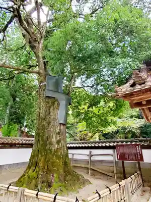 医王寺(福島県)