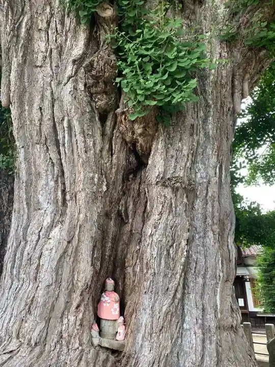 飛騨国分寺(岐阜県)