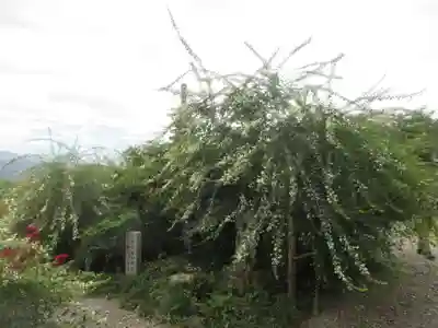 洞昌院(埼玉県)