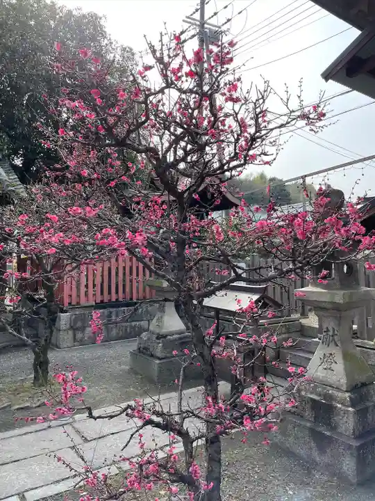 縣神社(京都府)