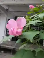 本光寺(東京都)