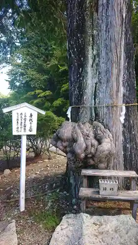 中禅寺(栃木県)