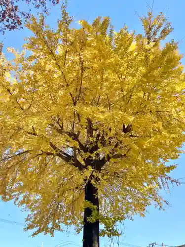 新潟市 那須山 長栄寺(新潟県)