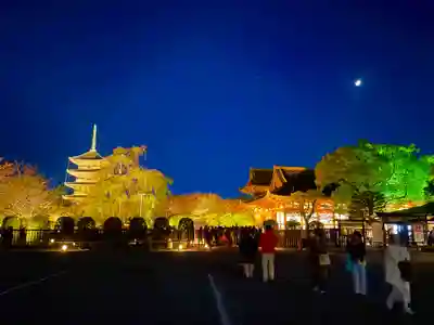 東寺（教王護国寺）(京都府)
