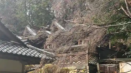穴師坐兵主神社(奈良県)