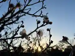 湯島天満宮(長野分社)(長野県)