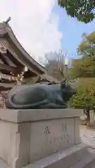 岡崎天満宮の狛犬