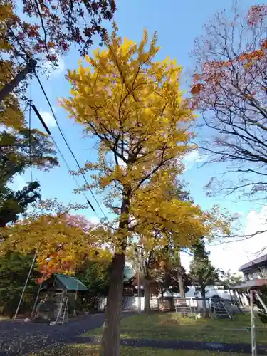 厚別神社(北海道)