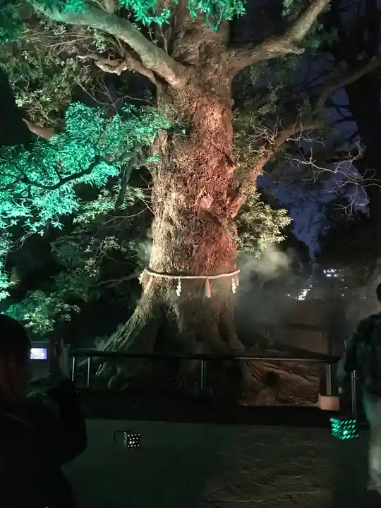 上野東照宮の自然