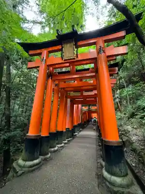 伏見稲荷大社(京都府)