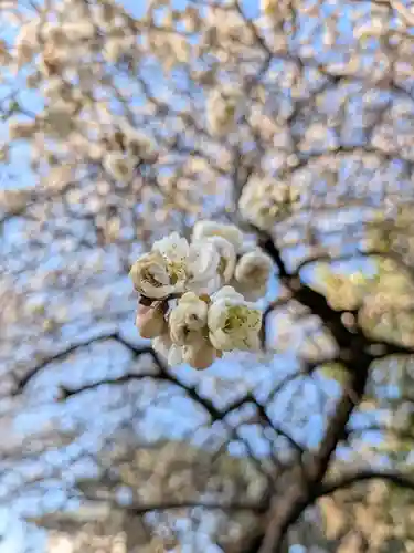 蓮華寺(東京都)