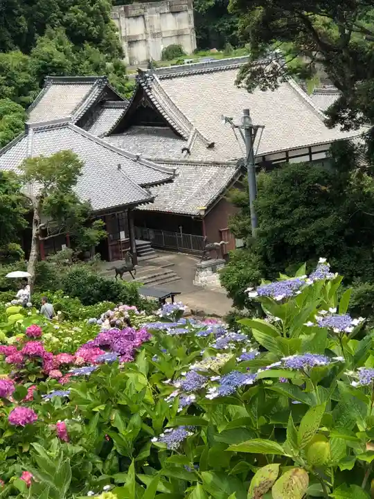 補陀寺の御朱印