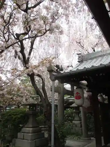 雨宝院の鳥居