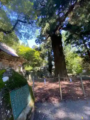 配志和神社(岩手県)