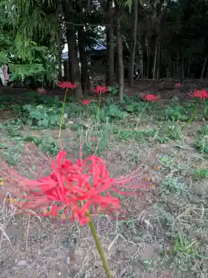 伏木香取神社(茨城県)