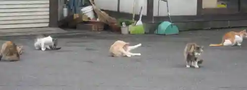 常清寺(神奈川県)