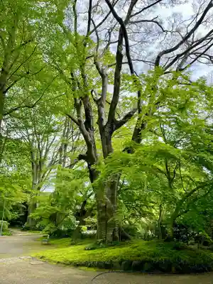 最勝寺(茨城県)