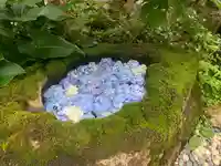 高原寺(兵庫県)