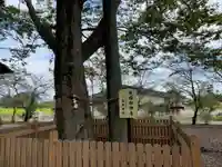 高椅神社のその他建物