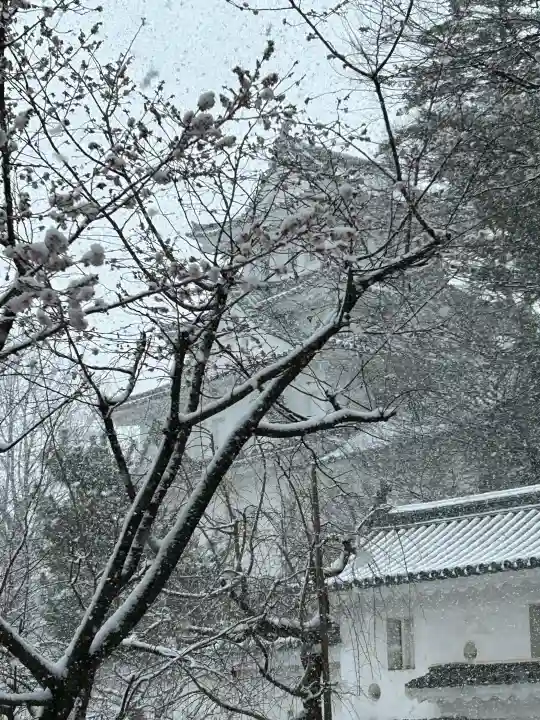 濃飛護國神社の{uncategorized: "未分類", other: "その他", undefined: "問題あり", building: "その他建物", grave: "お墓", sacred_gate: "鳥居", guardian: "狛犬", statue: "像", buddha: "仏像", history: "歴史", nature: "自然", garden: "庭園", animal: "動物", pagoda: "塔", temizu: "手水舎", mountain_gate: "山門・神門", sanctuary: "本殿・本堂", subordinate: "末社・摂社", art: "芸術", scenery: "景色", jizo: "地蔵", ema: "絵馬", goshuin: "御朱印", omikuji: "おみくじ", items: "授与品その他", amulet: "お守り", goshuincho: "御朱印帳", eats: "食事", festival: "お祭り", votive_dance: "神楽", shichigosan: "七五三参", wedding: "結婚式", experience: "体験その他", initially: "初詣", around: "周辺", anti_infection: "感染症対策"}