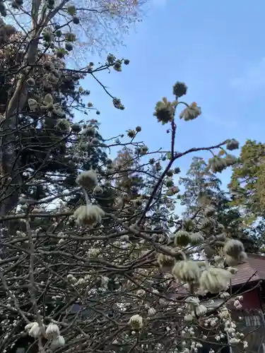 芳賀天満宮(栃木県)