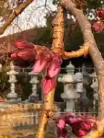 観音神社(広島県)