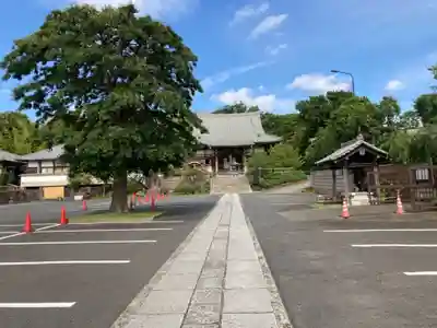 妙蓮寺(神奈川県)
