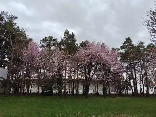 東川神社の庭園