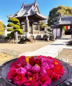 真言宗 善通寺派 薬王寺(香川県)(2025年01月18日(土) 14時55分33秒投稿)