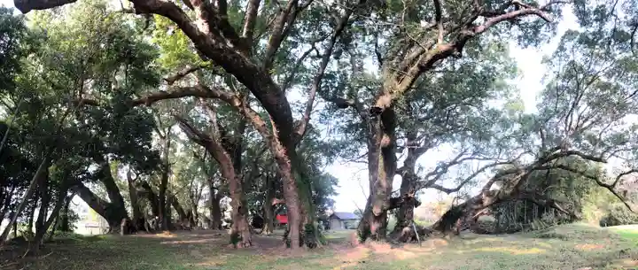 大汝牟遅神社の自然