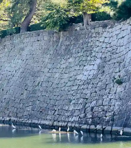 福井神社(福井県)