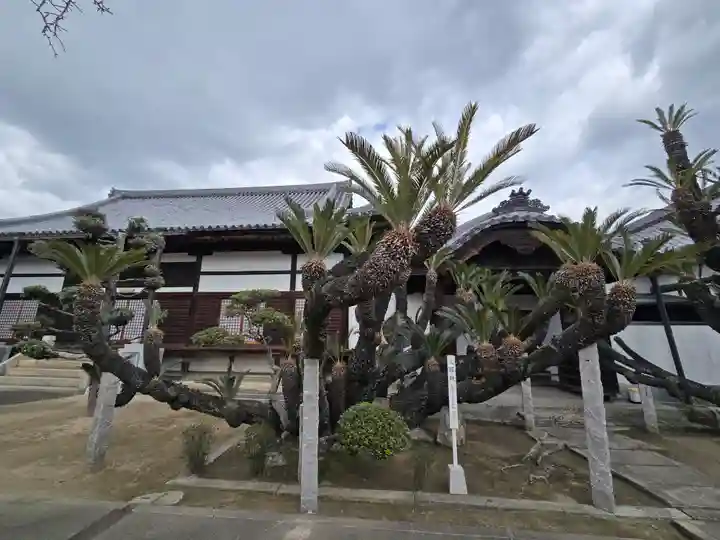 随鴎寺(兵庫県)