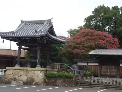 妙蓮寺のその他建物