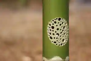 国宝 大法寺(長野県)(2020年12月08日(火) 16時37分10秒投稿)