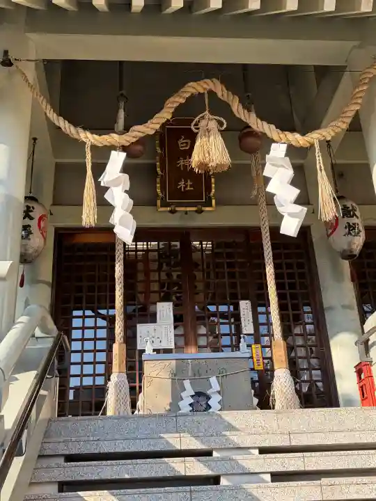 白神社の{uncategorized: "未分類", other: "その他", undefined: "問題あり", building: "その他建物", grave: "お墓", sacred_gate: "鳥居", guardian: "狛犬", statue: "像", buddha: "仏像", history: "歴史", nature: "自然", garden: "庭園", animal: "動物", pagoda: "塔", temizu: "手水舎", mountain_gate: "山門・神門", sanctuary: "本殿・本堂", subordinate: "末社・摂社", art: "芸術", scenery: "景色", jizo: "地蔵", ema: "絵馬", goshuin: "御朱印", omikuji: "おみくじ", items: "授与品その他", amulet: "お守り", goshuincho: "御朱印帳", eats: "食事", festival: "お祭り", votive_dance: "神楽", shichigosan: "七五三参", wedding: "結婚式", experience: "体験その他", initially: "初詣", around: "周辺", anti_infection: "感染症対策"}