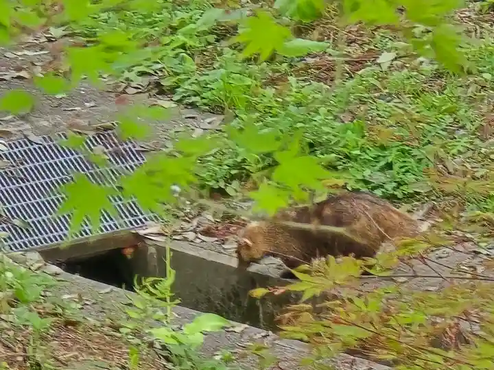 長谷寺(奈良県)