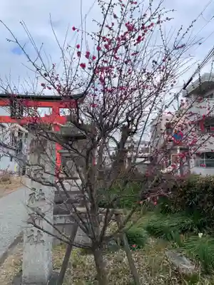 五社神社(京都府)