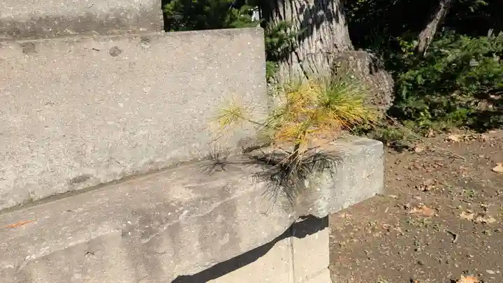 芽室神社の食事