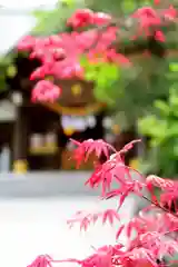 西野神社(北海道)