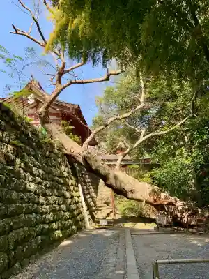志波彦神社・鹽竈神社(宮城県)