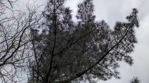 輪西神社の自然